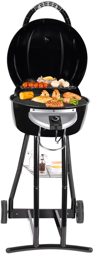 Electric grill 