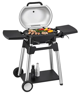 Electric grill 